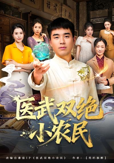 医武双绝小农民
