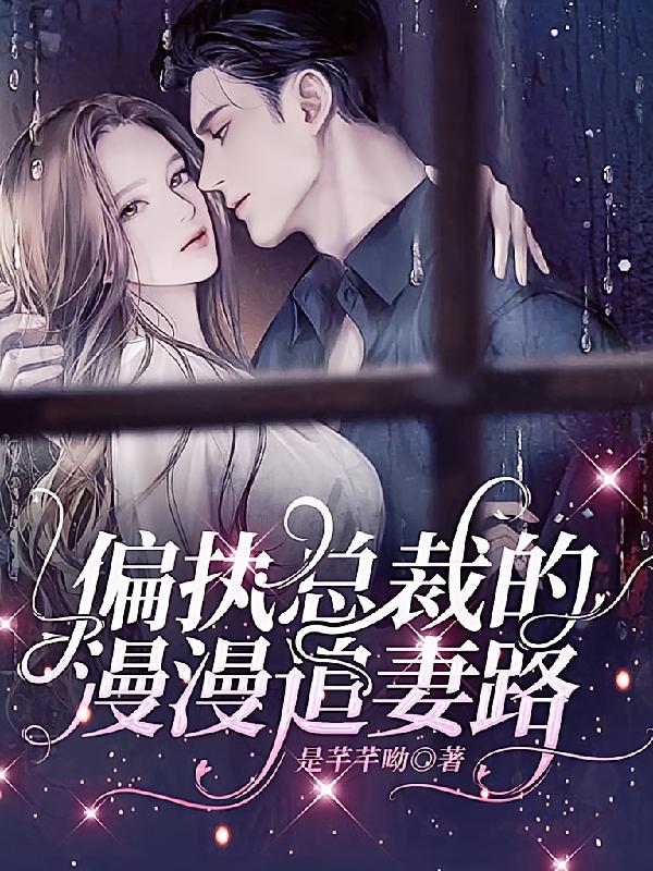 偏执总裁的漫漫追妻路