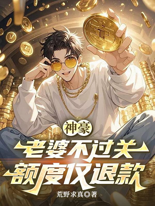 神豪：老婆不过关，额度仅退款