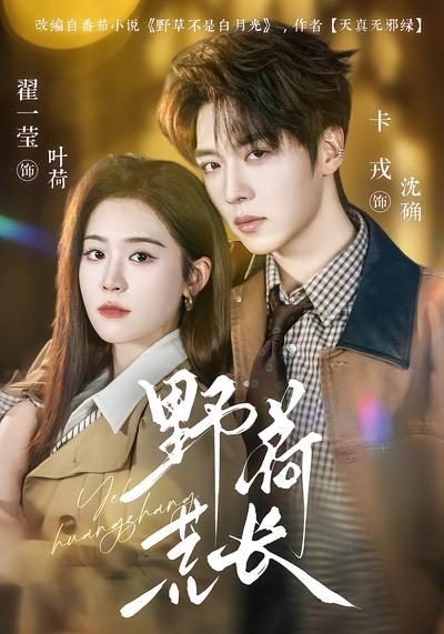 野荷荒长 - 在线观看