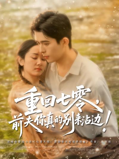 重回七零，前夫你真的别来沾边