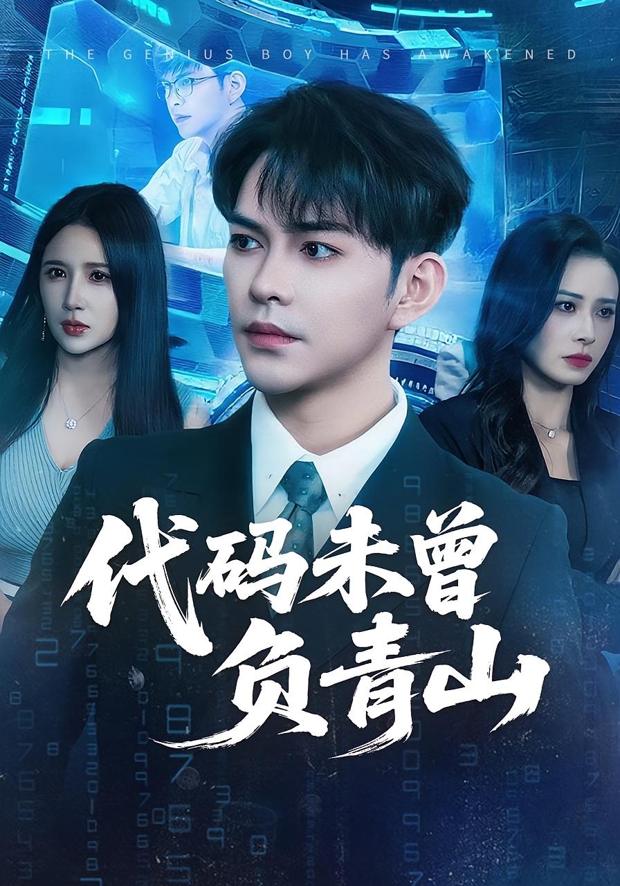 代码未曾负青山