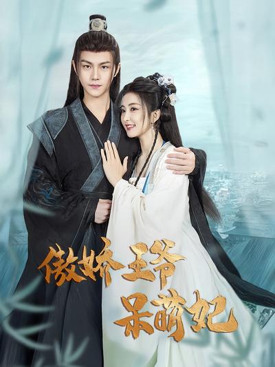 傲娇王爷呆萌妃