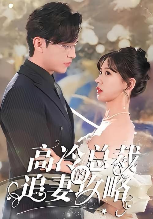 高冷总裁的追妻攻略