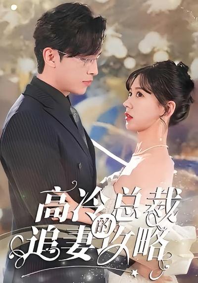 高冷总裁的追妻攻略