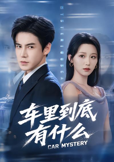 车里到底有什么 - 在线观看