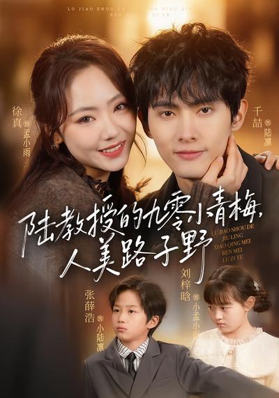 陆教授的九零小青梅，人美路子野 - 在线观看