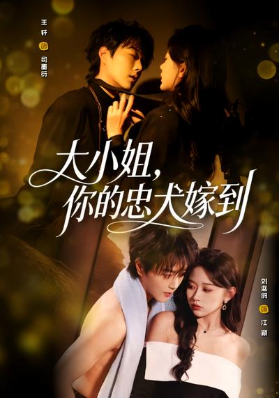 大小姐，你的忠犬嫁到