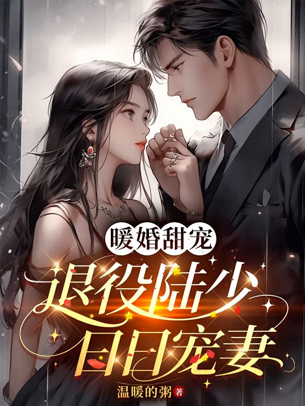 暖婚甜宠：退役陆少日日宠妻