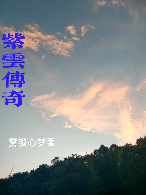 紫云传奇