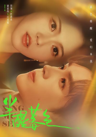 短剧《半醒暮色》海报