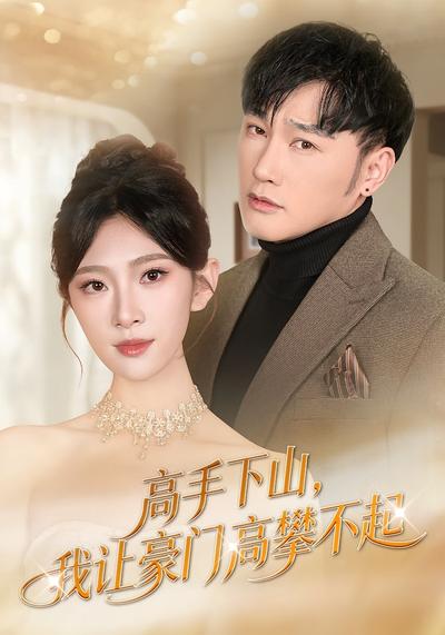 高手下山，我让豪门高攀不起 - 在线观看