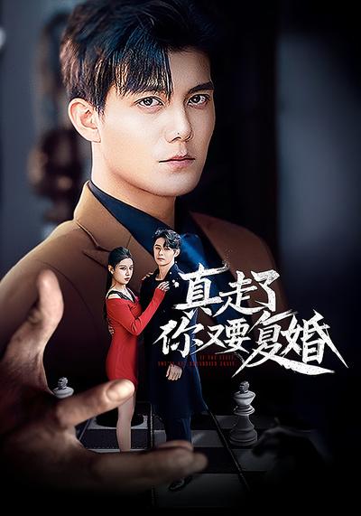 真走了你又要复婚