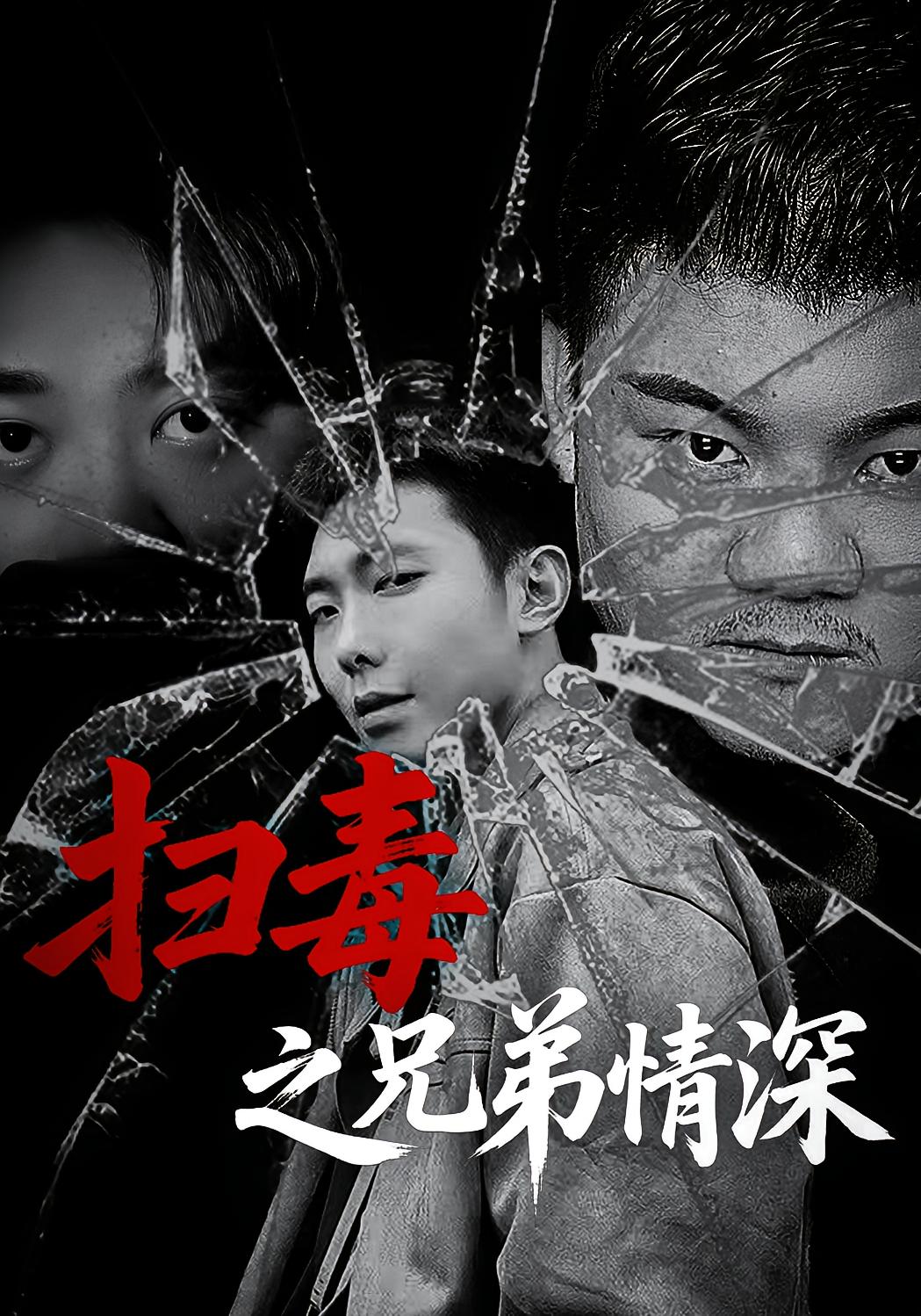 扫毒之兄弟情深