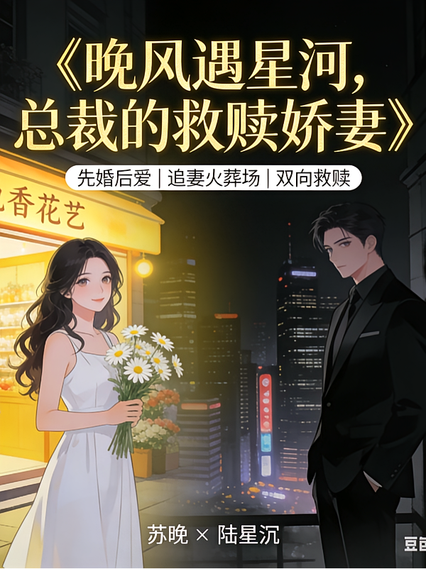 晚风遇星河，总裁的救赎娇妻