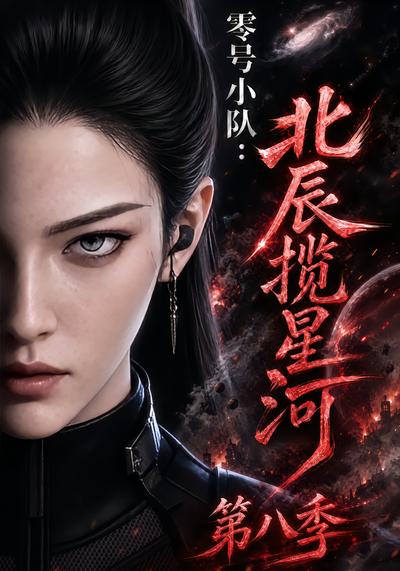 零号小队：北辰揽星河第八季封面