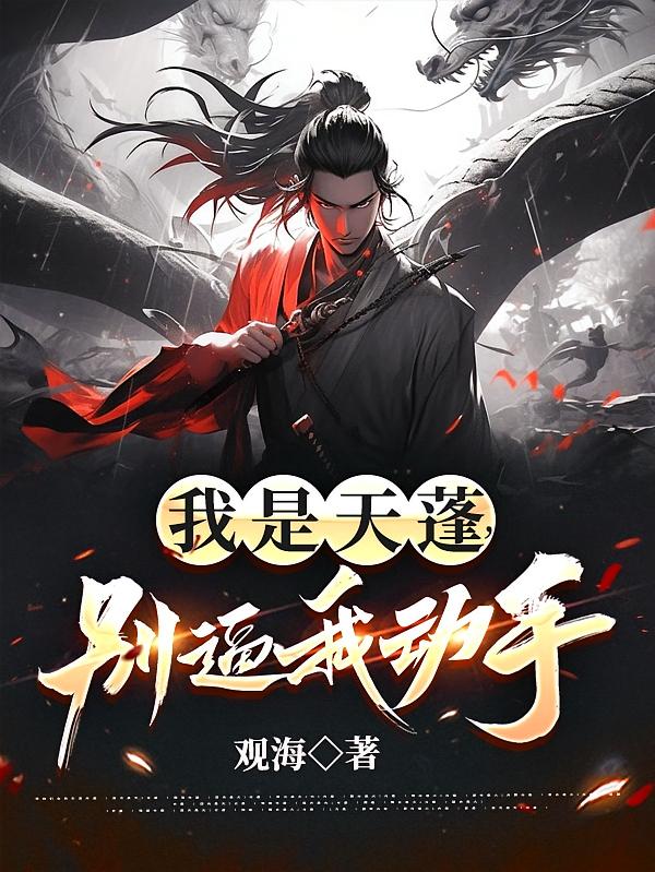 我是天蓬，别逼我动手