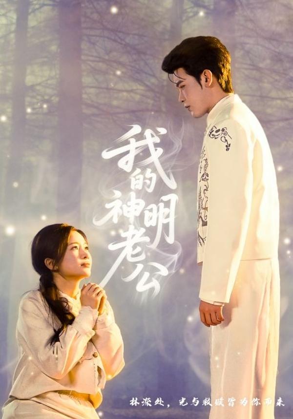 短剧我的神明老公海报