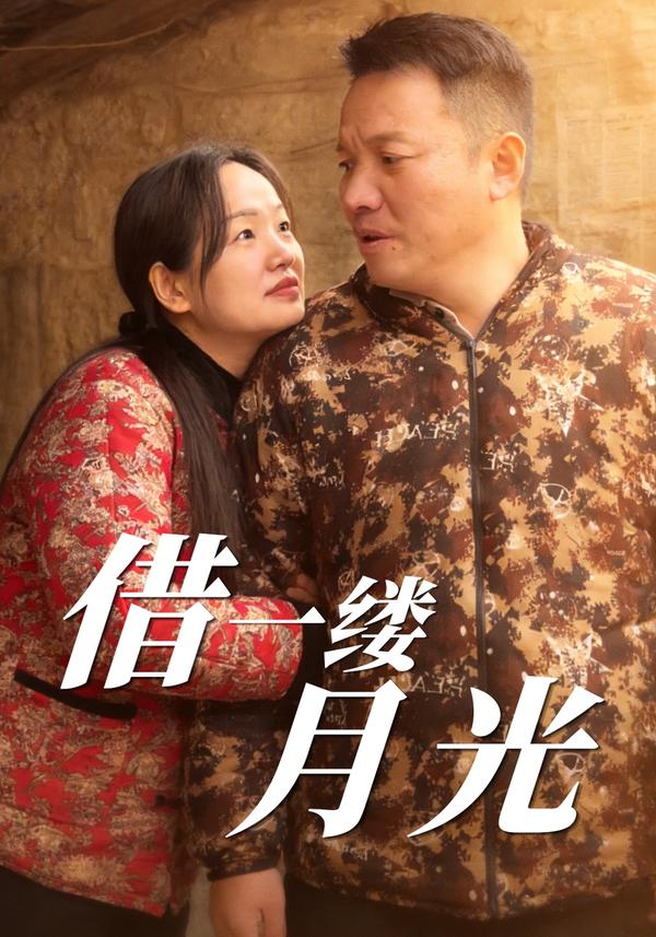 短剧借一缕月光海报