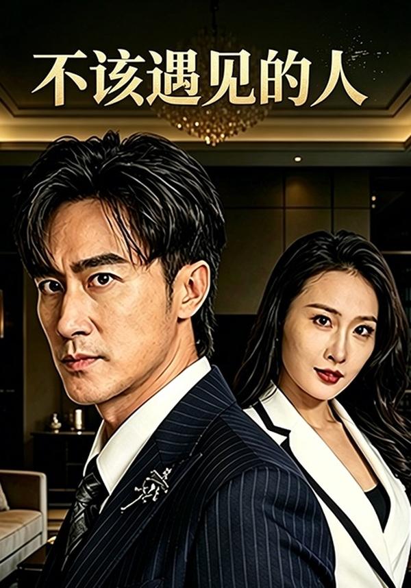 短剧不该遇见的人海报