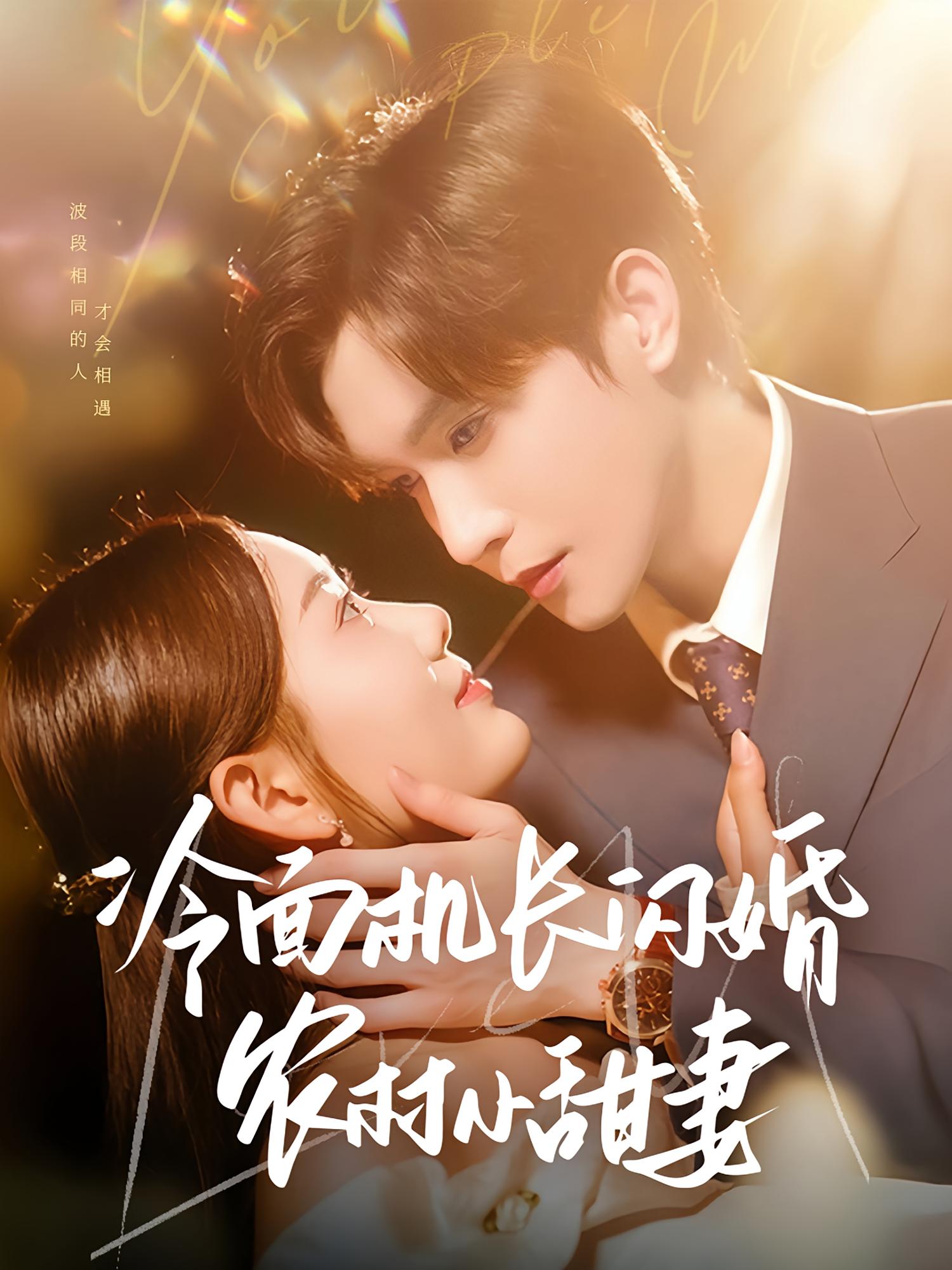 冷面机长闪婚农村小甜妻