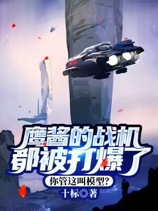 鹰酱的战机都被打爆了，你管这叫模型？