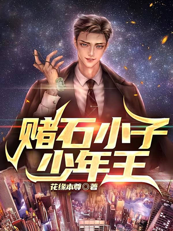 赌石小子少年王
