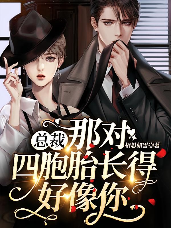 总裁，那对四胞胎长得好像你