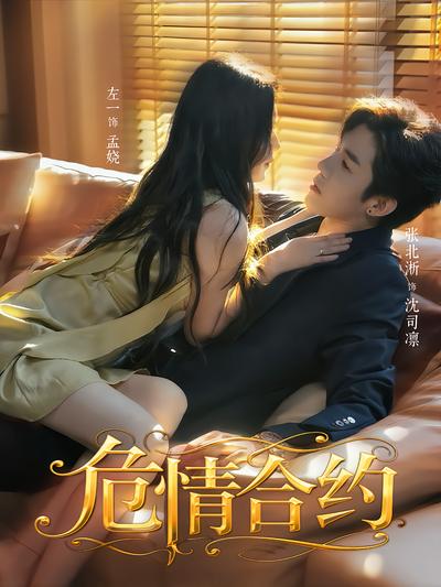 危情合约封面