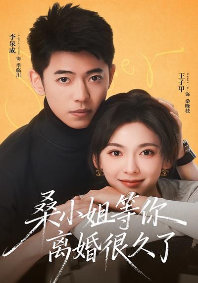 桑小姐，等你离婚很久了 - 在线观看