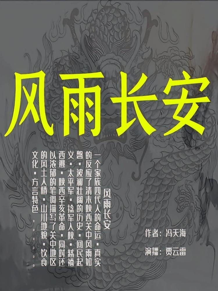风雨长安