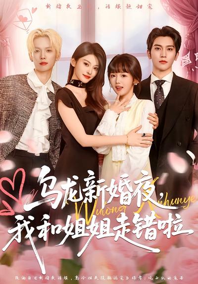 乌龙新婚夜，我和姐姐走错啦