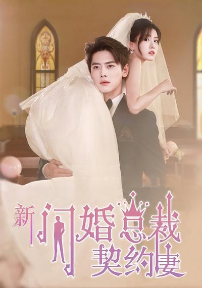 新闪婚总裁契约妻