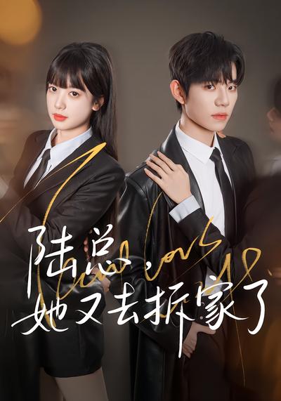 陆总，她又去拆家了 - 在线观看