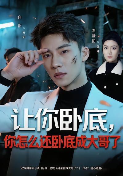 让你卧底，你怎么还卧成大哥了 - 在线观看