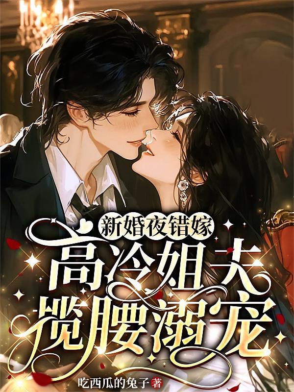 新婚夜错嫁，高冷姐夫揽腰溺宠