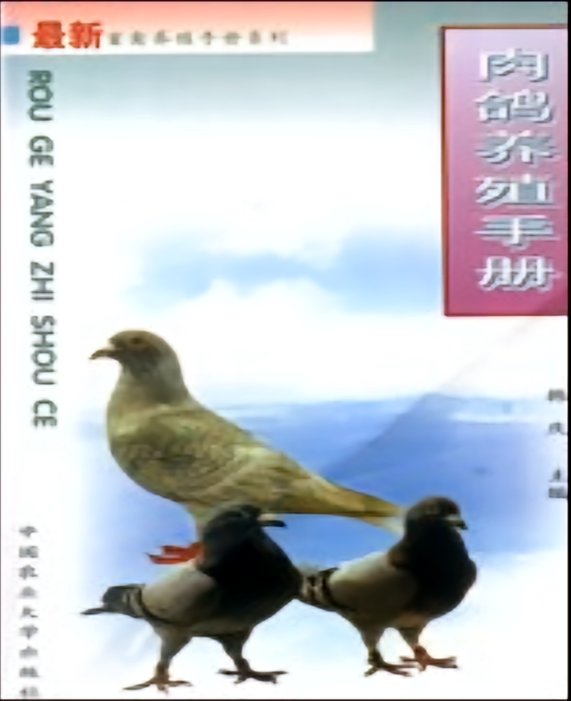 肉鸽养殖手册