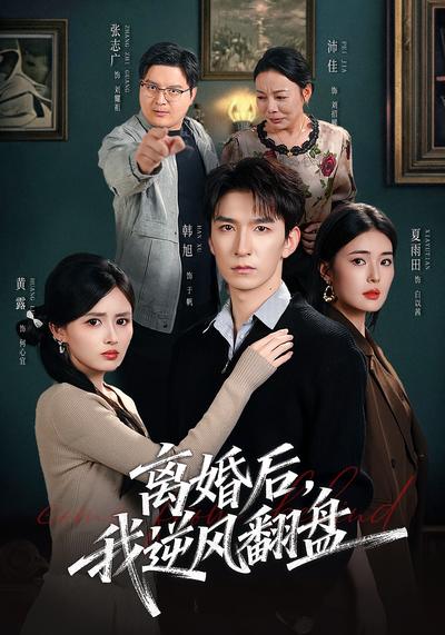 离婚后，我逆风翻盘 - 在线观看