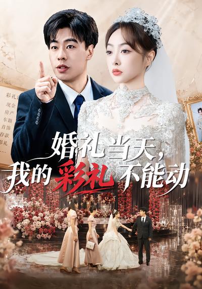 婚礼当天，我的彩礼不能动 - 在线观看