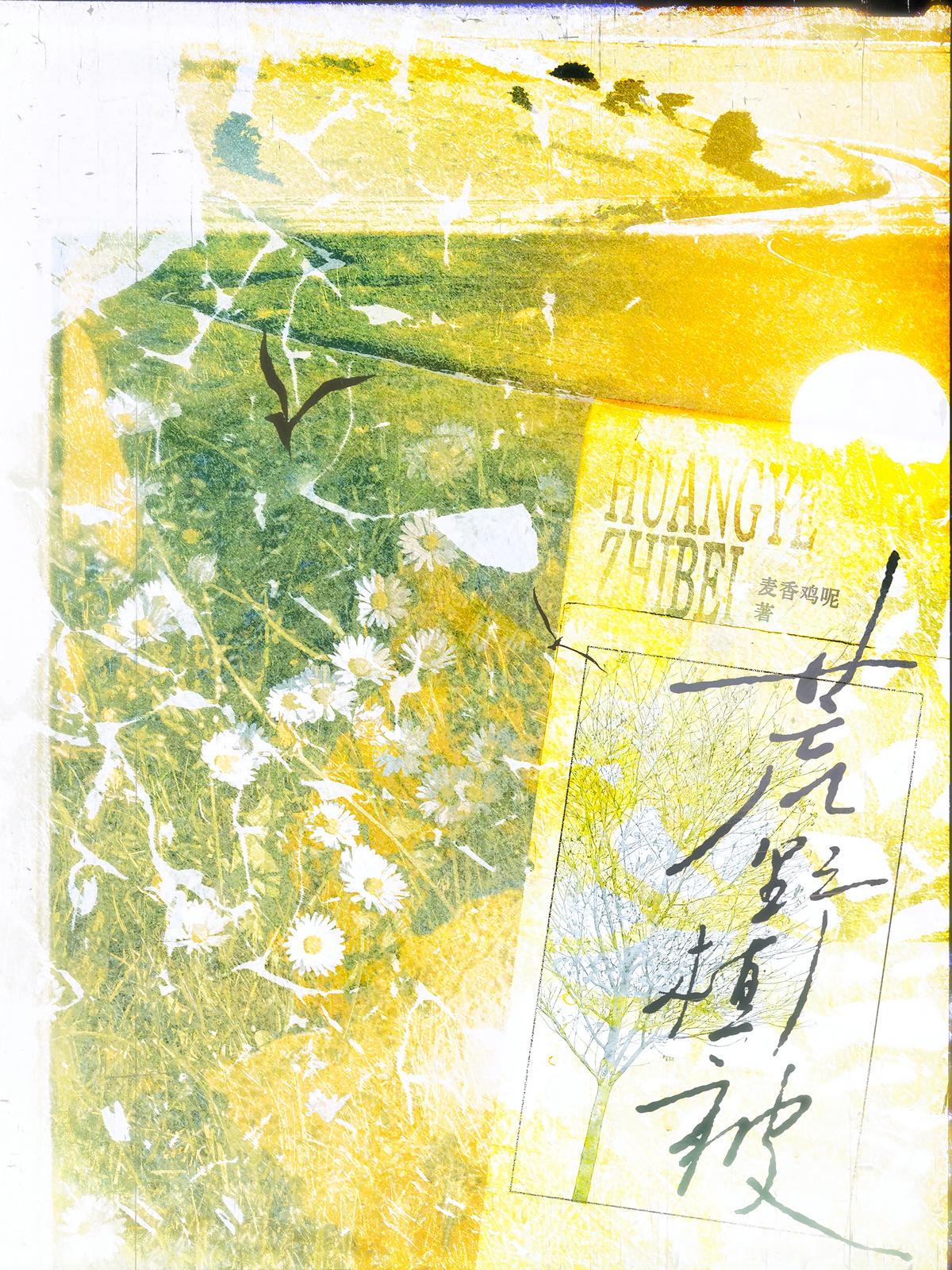 荒野植被