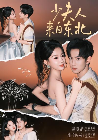 少夫人来自东北封面