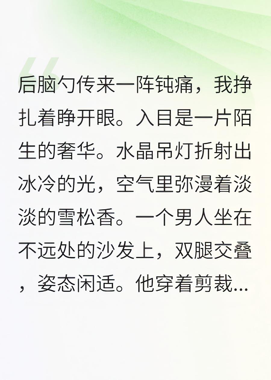 失忆后，我错把京圈太子爷当老公