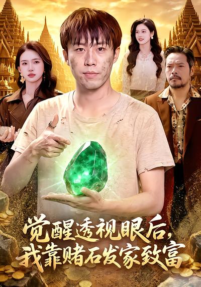 觉醒透视眼后，我靠赌石发家致富 - 在线观看