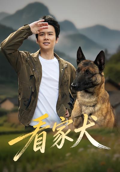 看家犬 - 在线观看