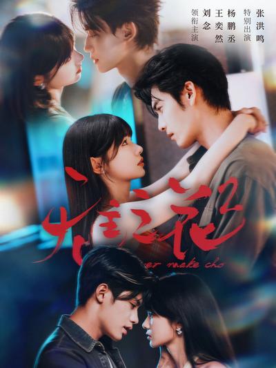 无主之花2封面