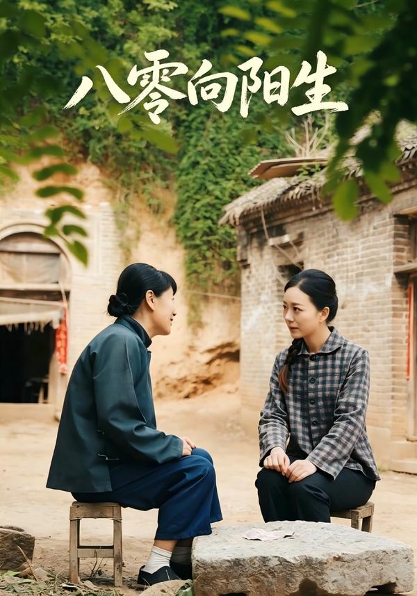 短剧八零向阳生海报