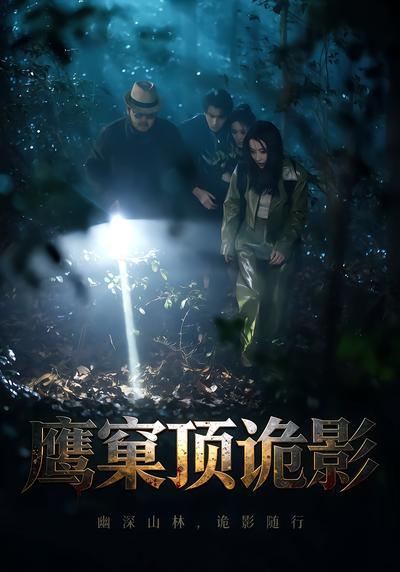 短剧《鹰窠顶诡影》海报