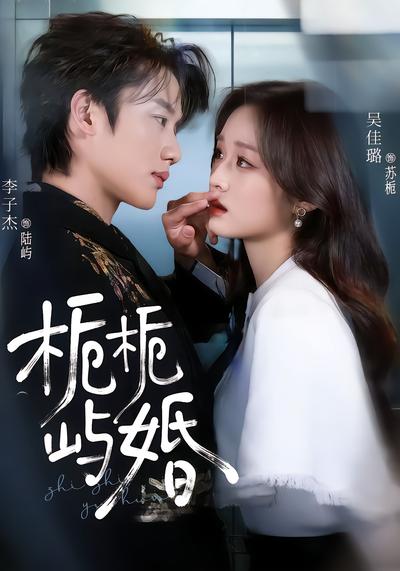 栀栀屿婚 - 在线观看