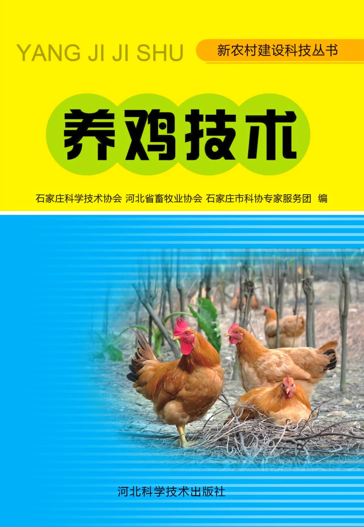 养鸡技术
