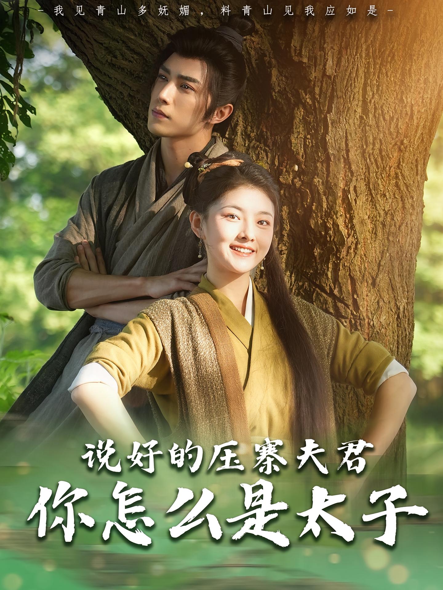 说好的压寨夫君，你怎么是太子